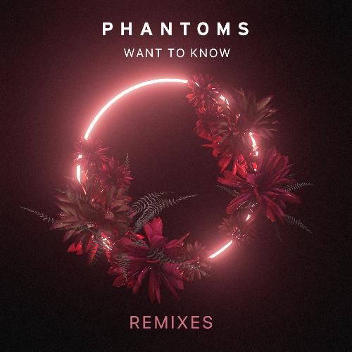 Want To Know (Remixes)