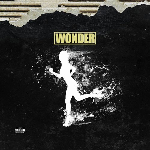 Wonder_poster_image