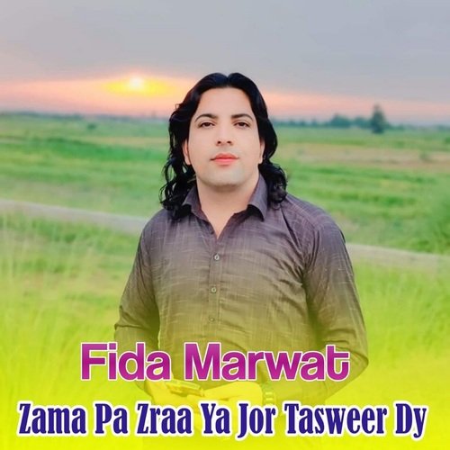 Zama Pa Zraa Ya Jor Tasweer Dy