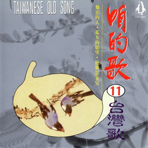 可愛的馬