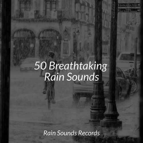 50 Breathtaking Rain Sounds_poster_image