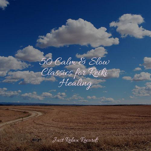 50 Calm & Slow Classics for Reiki Healing