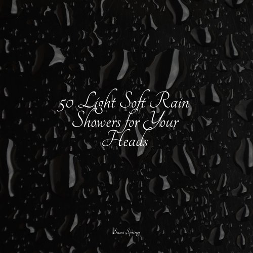 50 Light Soft Rain Showers for Your Heads_poster_image