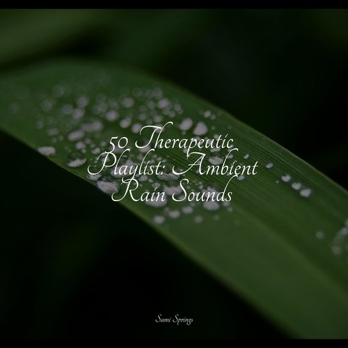 50 Therapeutic Playlist: Ambient Rain Sounds