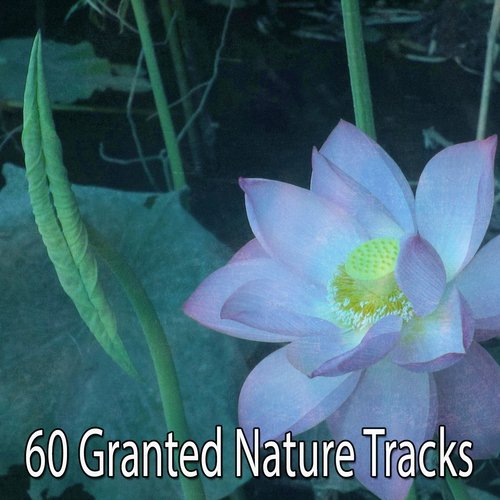 60 Granted Nature Tracks