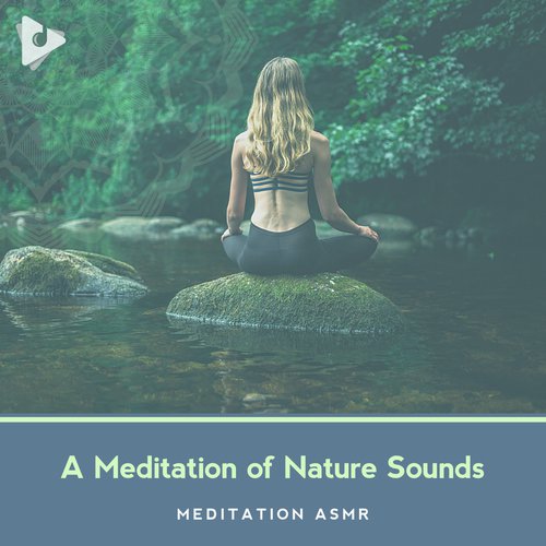 A Meditation of Nature Sounds