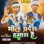 Bheel Pradesh Hamara Hai