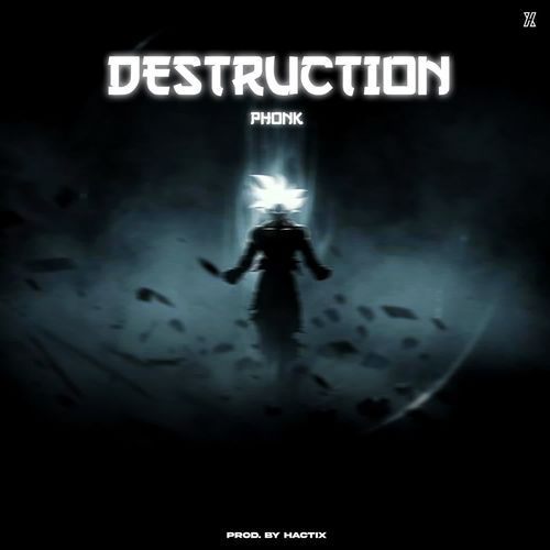 Destruction Phonk_poster_image