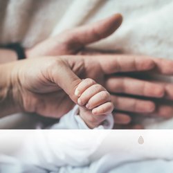 Paradis Calme de la Forêt