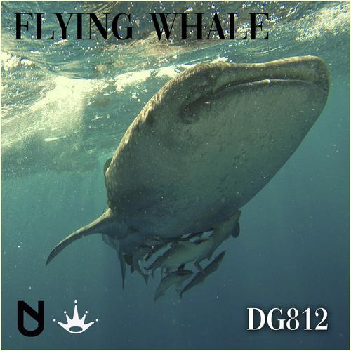 Flying Whale_poster_image