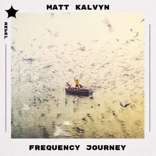 Frequency Journey cover art