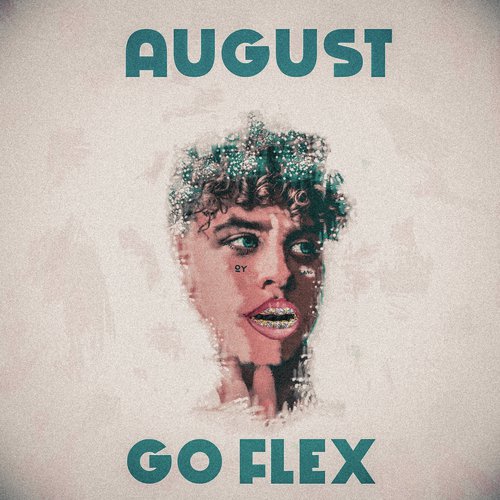 Go Flex_poster_image