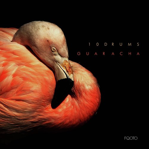 Guaracha (Cam Lasky Remix) cover art