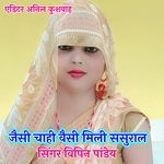 Jesi Chahi Vesi Mili Sasural