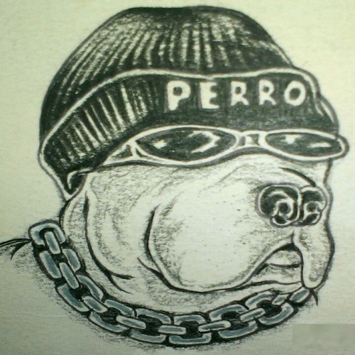 Perro