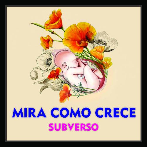 Mira Como Crece