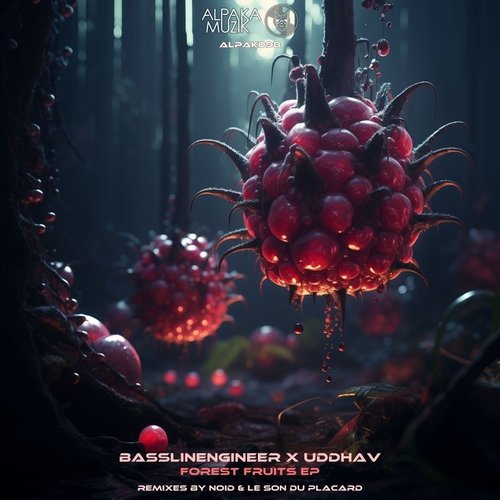 Mousemelon (Le Son Du Placard Remix) cover art