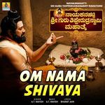 Om Nama Shivaya (From "Nayakanahatti Sri Guru Tipperudraswamy Mahathme") artwork