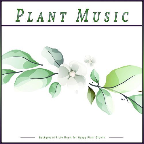 Plant Music cover art