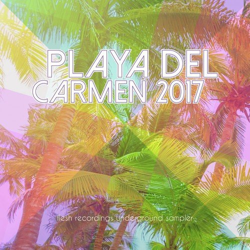 Playa Del Carmen 2017: Flesh Recordings Underground Sampler