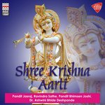 Madhukar Shyam Hamare Chor artwork