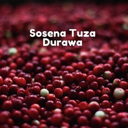 Sosena Tuza Durawa-FzENQExzbl4