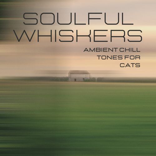 Soulful Whiskers: Ambient Chill Tones for Cats_poster_image