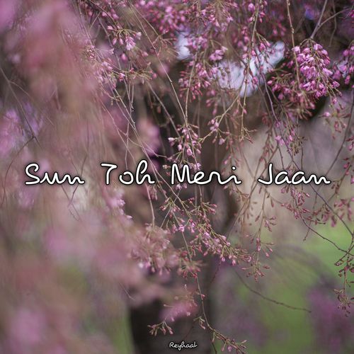 Sun Toh Meri Jaan