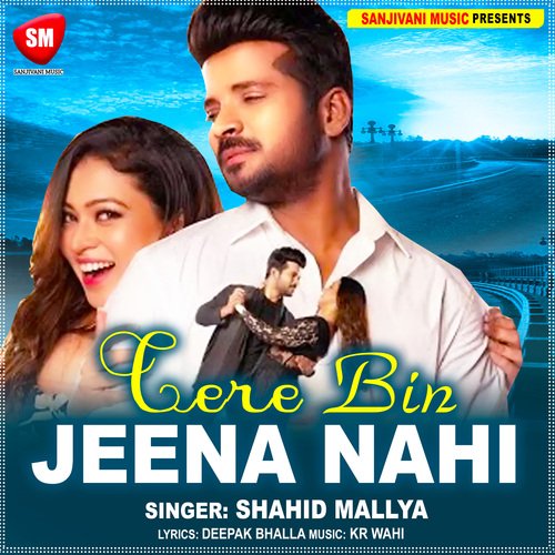 Tere Bin Jeena Nahi (Hindi)