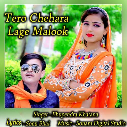 Tero Chehara Lage Malook