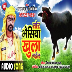 Tor Bhasiya Khula Gail (Bhojpuri Song)-OgM6Yg52YEc