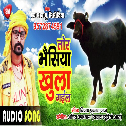 Tor Bhasiya Khula Gail (Bhojpuri Song)