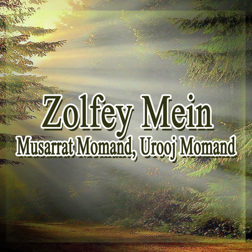 Zolfey Mein