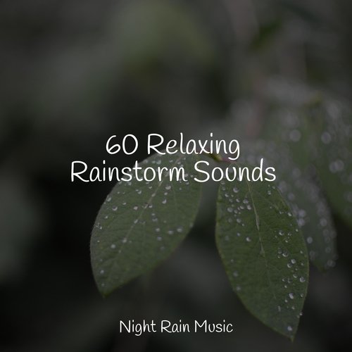 60 Relaxing Rainstorm Sounds_poster_image