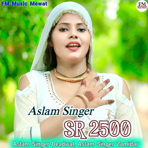 Aslam Singer SR 2500