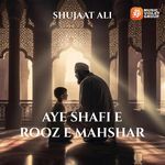 Tu Hai Bekason Ka Yawar artwork