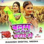 Balam nahi gehua katai ho