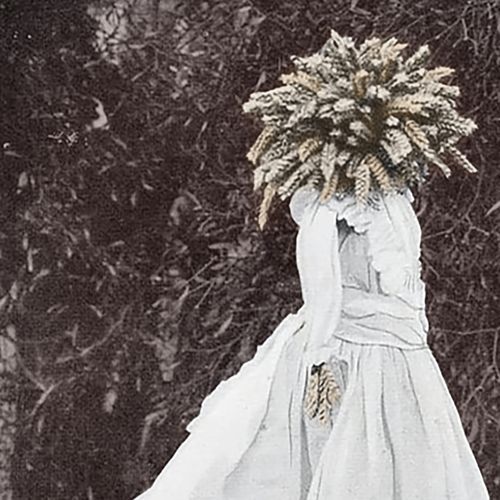 Bed Down In The Murk