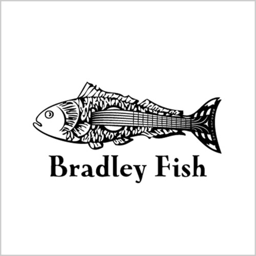 Bradley Fish 1993-2007 Hits, Demos, Rare and Live Cuts (Digital Version)