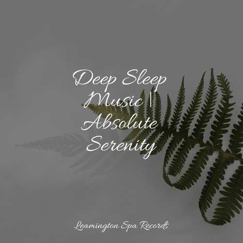 Deep Sleep Music | Absolute Serenity