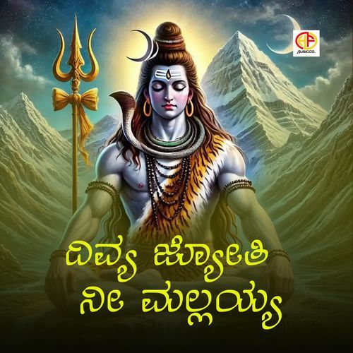Divya Jyoti Ni Mallayya cover art