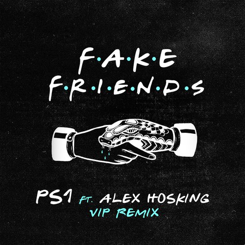 Fake Friends (VIP Mix)