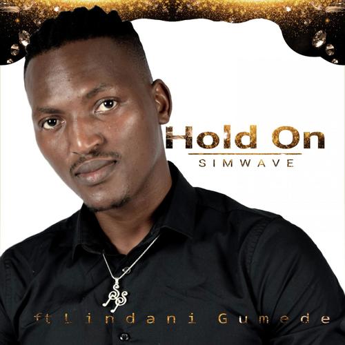 Hold On (feat. Lindani Gumede)_poster_image