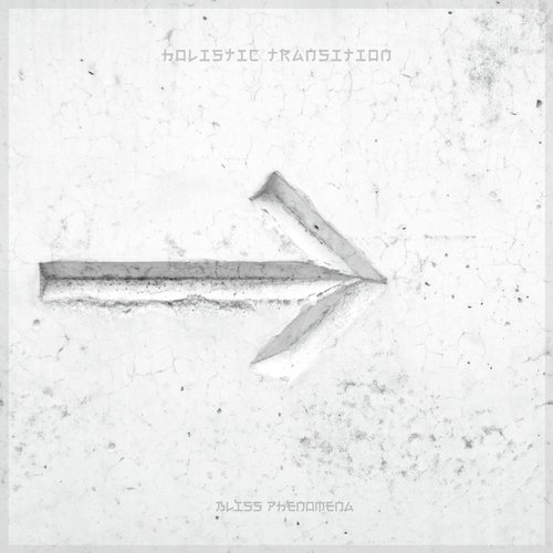 Holistic Transition cover art