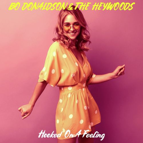 Bo Donaldson & The Heywoods
