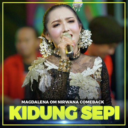 KIDUNG SEPI