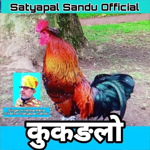 Kukadlo