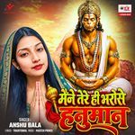 Maine Tere Hi Bharose Hanuman