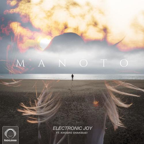 Electronic Joy