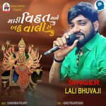 Mari Vihat Mane Bahu Vali Se